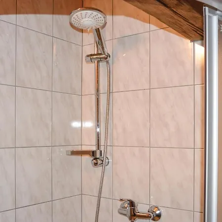 Vakantiehuis Four Bedroom Holiday In Rybniky